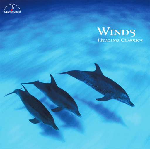 日本男生互相打飞机黄色网
